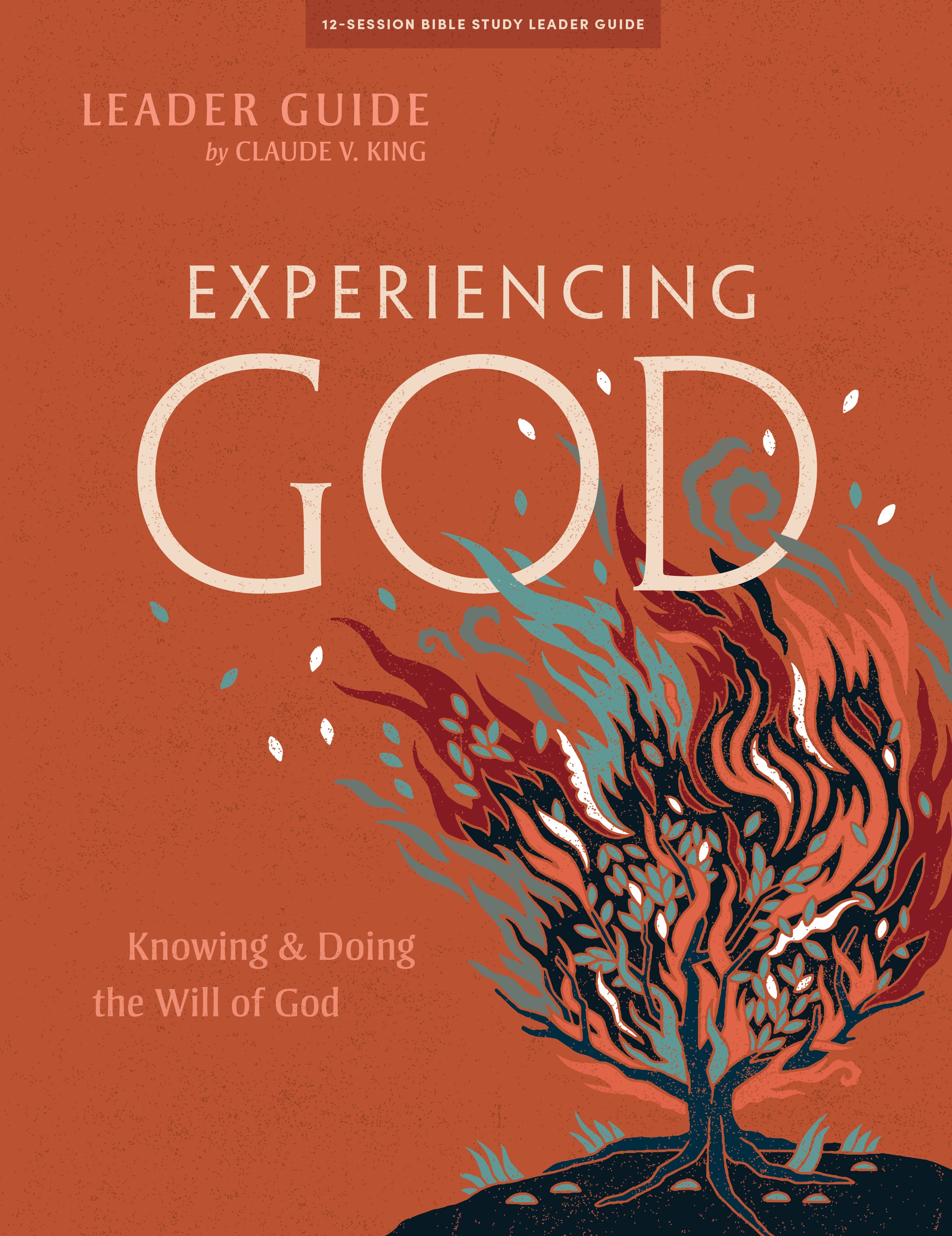 Experiencing God (30Th Anniversary Ed) (Leader Guide)