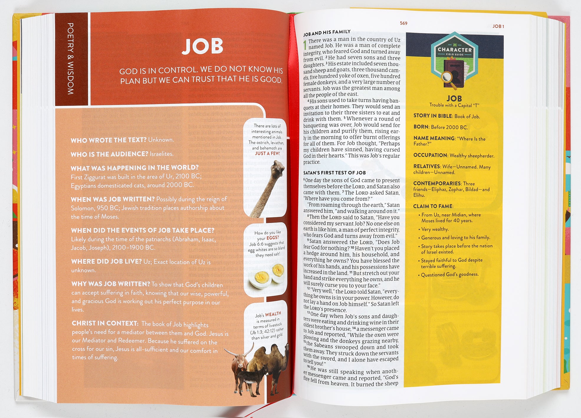 CSB Explorer Bible For Kids