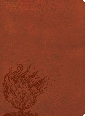 CSB Experiencing God Bible Burnt Sienna Indexed (Red Letter Edition)