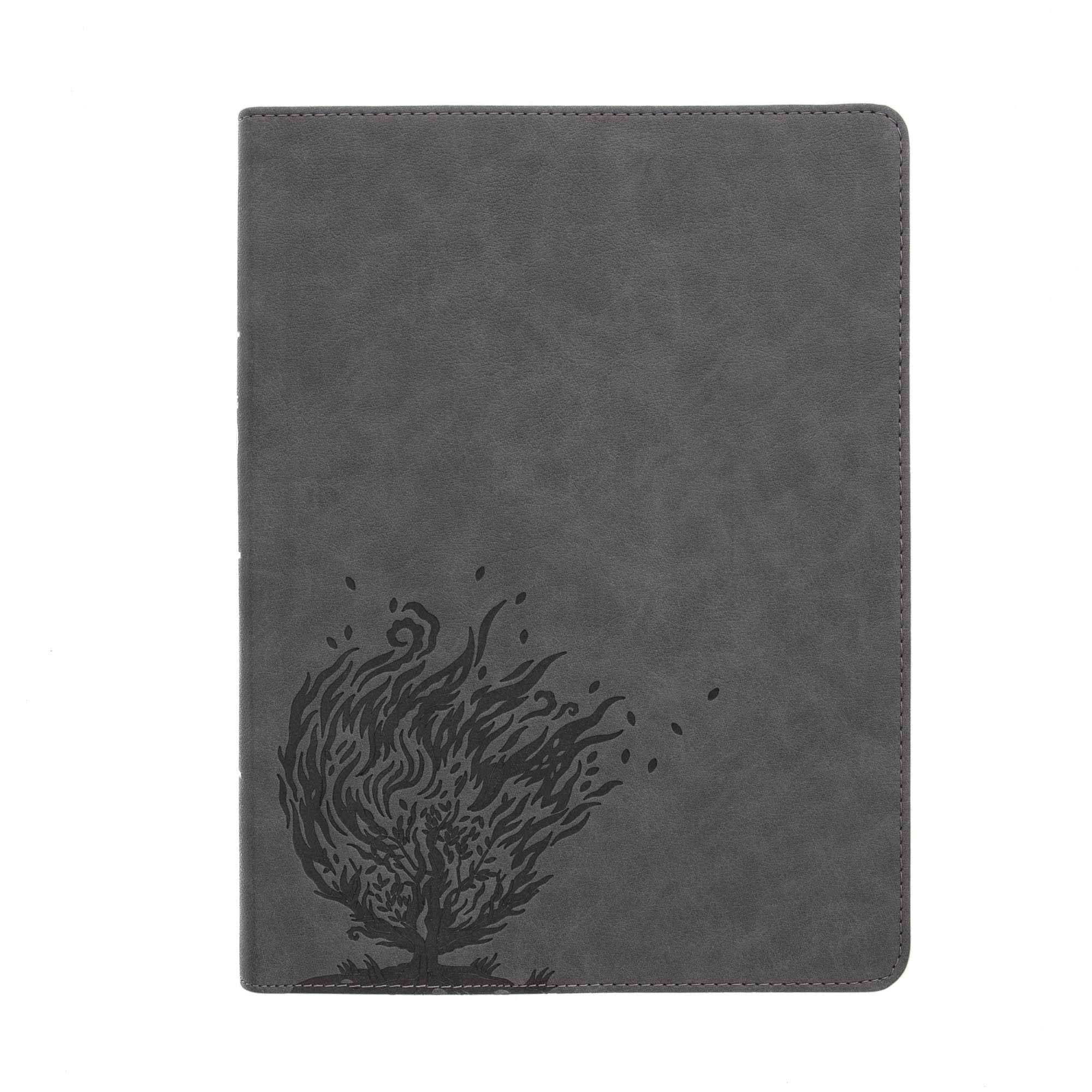 CSB Experiencing God Bible Charcoal (Red Letter Edition)