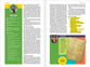 CSB Explorer Bible For Kids Hello Sunshine