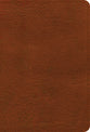 NASB Large Print Compact Reference Bible Burnt Sienna (Red Letter Edition)
