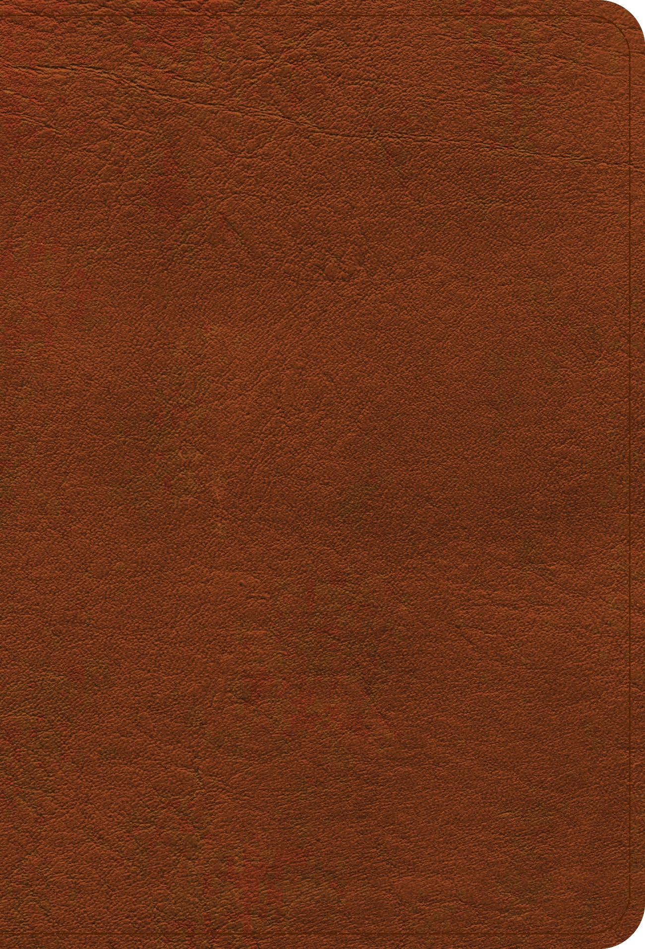 NASB Large Print Compact Reference Bible Burnt Sienna (Red Letter Edition)