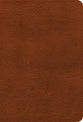 NASB Large Print Compact Reference Bible Burnt Sienna (Red Letter Edition)