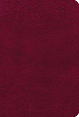 NASB Large Print Compact Reference Bible Burgundy (Red Letter Edition)