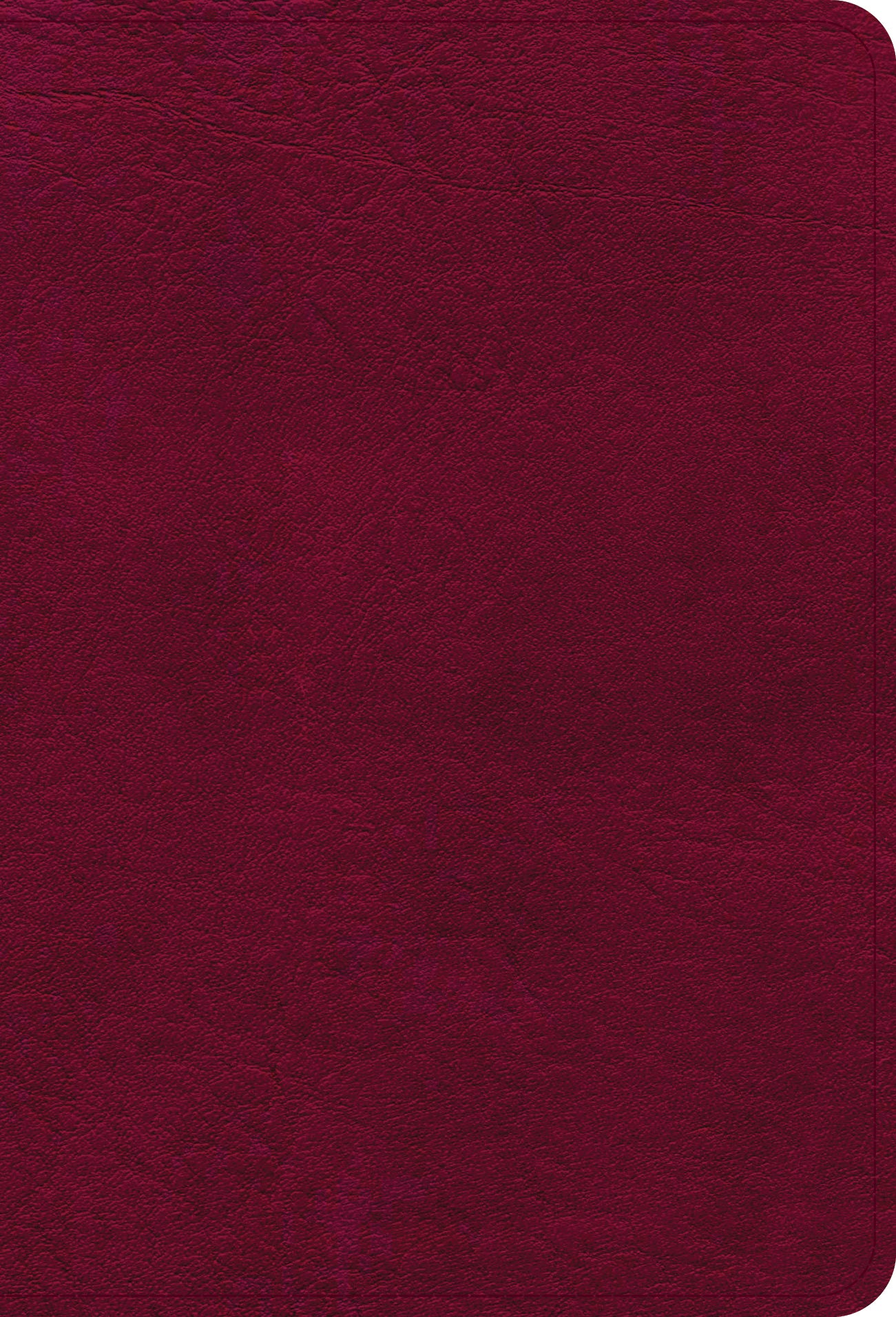 NASB Large Print Compact Reference Bible Burgundy (Red Letter Edition)