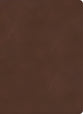 KJV Single-Column Wide-Margin Bible Brown (Red Letter Edition)