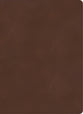 KJV Single-Column Wide-Margin Bible Brown (Red Letter Edition)