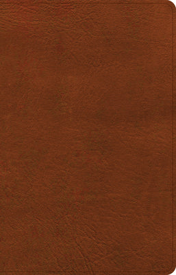 CSB Thinline Bible Burnt Sienna (Red Letter Edition)