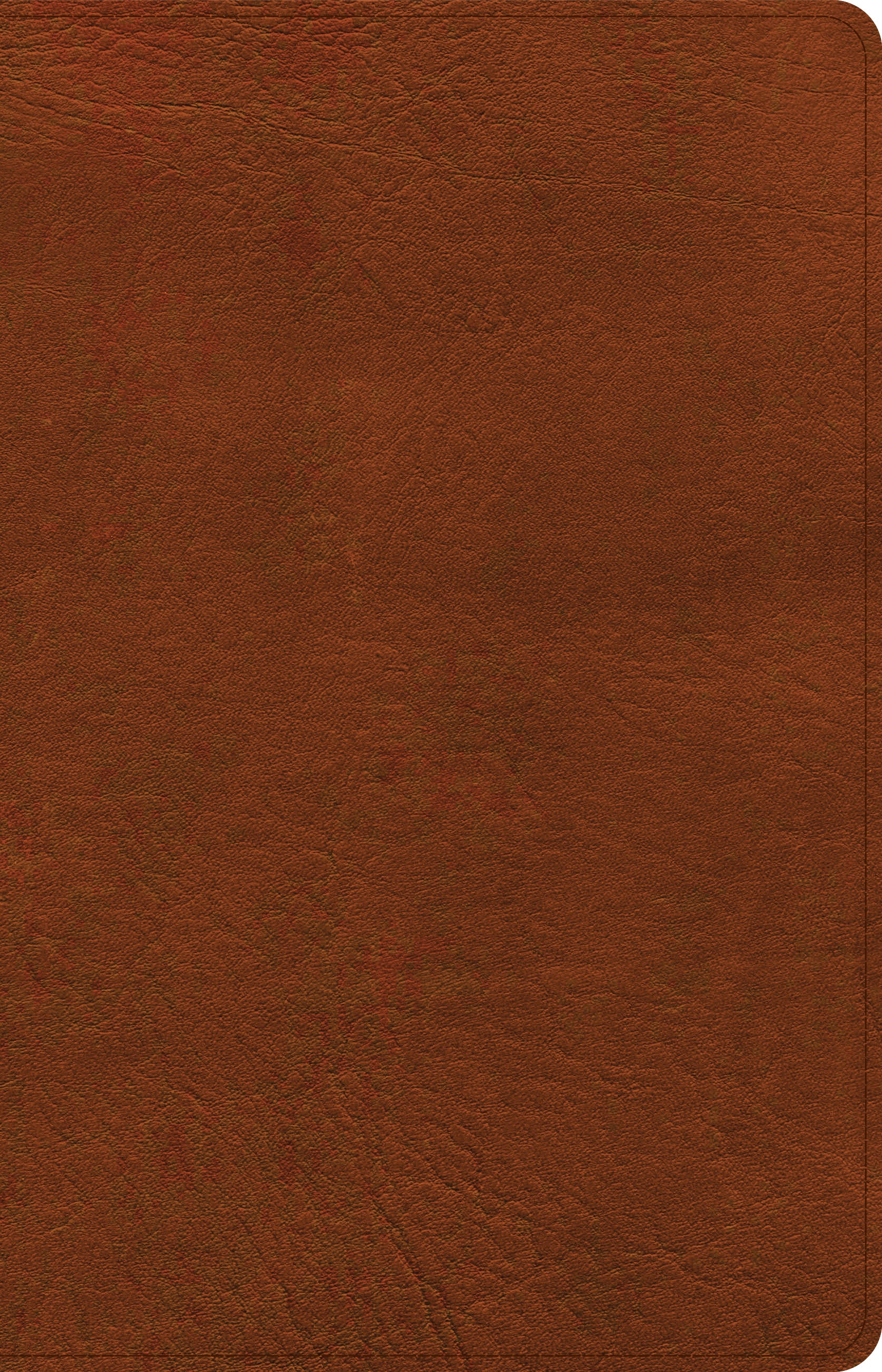CSB Thinline Bible Burnt Sienna (Red Letter Edition)