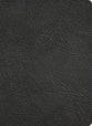 KJV Study Bible Full-Color Holman Handcrafted Collection Black Premium Goatskin (Red Letter Edition)