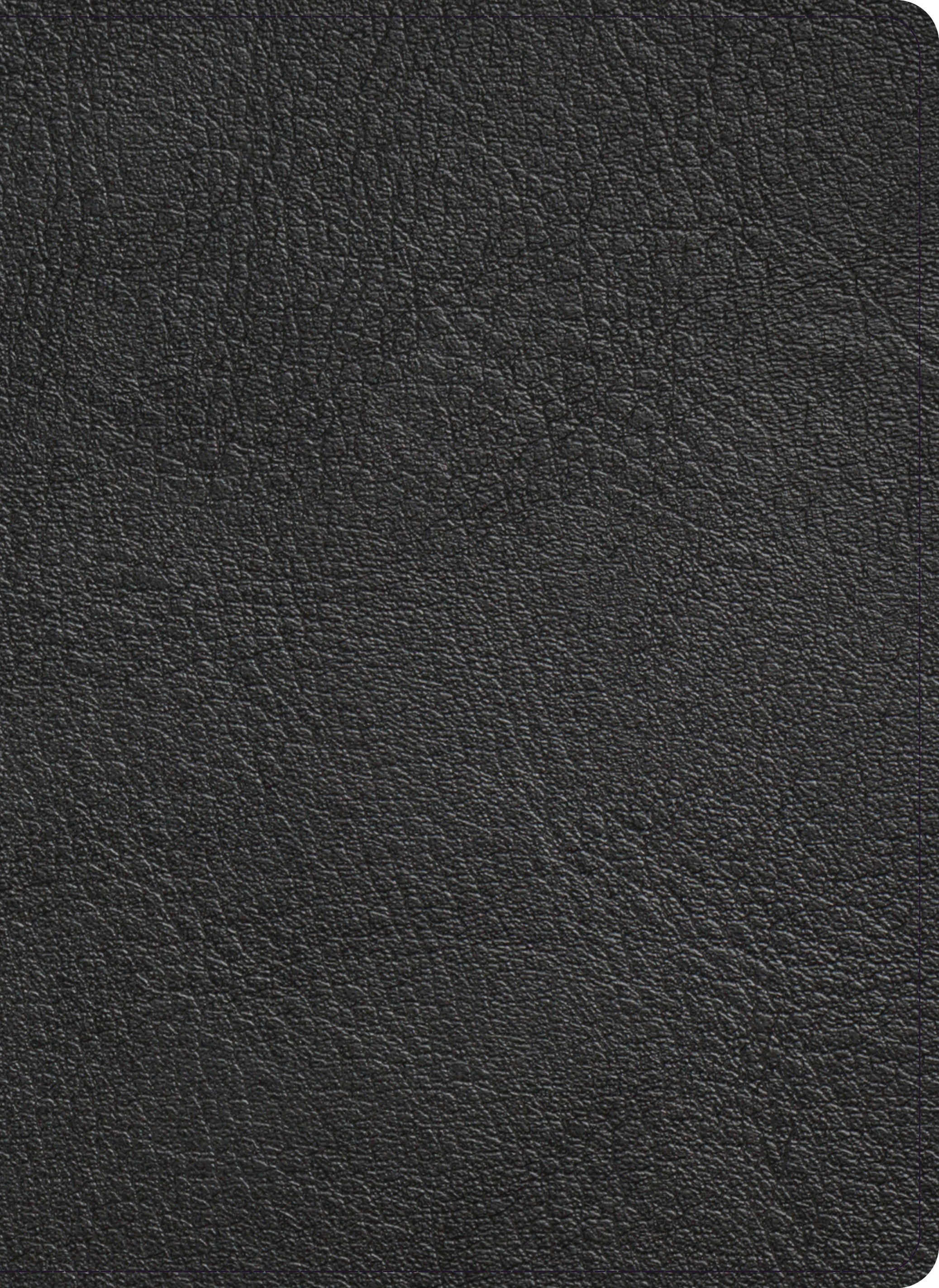 KJV Study Bible Full-Color Holman Handcrafted Collection Black Premium Goatskin (Red Letter Edition)