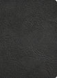 KJV Study Bible Full-Color Holman Handcrafted Collection Black Premium Goatskin (Red Letter Edition)
