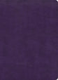 KJV Study Bible Full-Color Plum (Red Letter Edition)