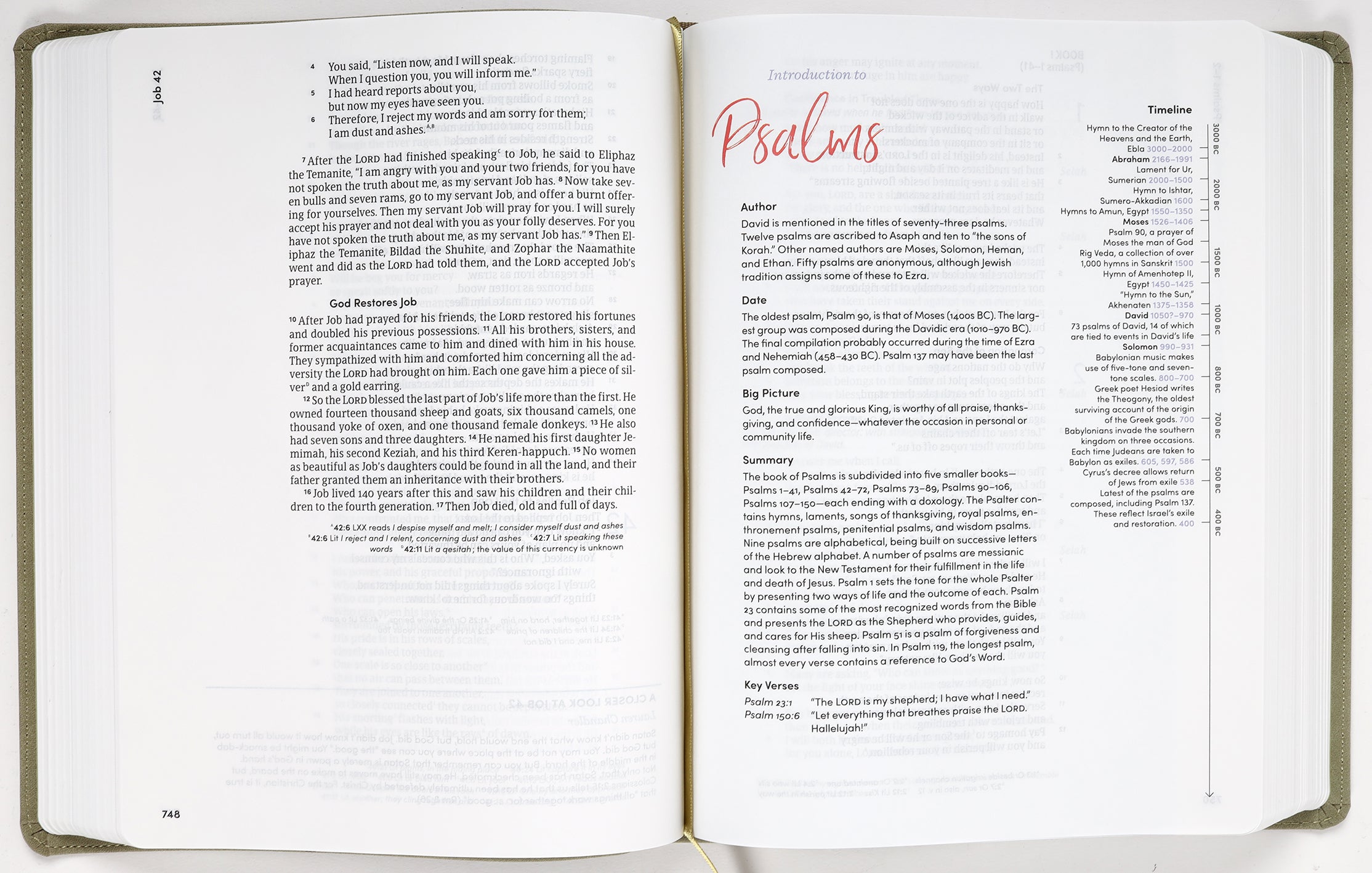 CSB Lifeway Women's Bible Sage (Black Letter Edition)