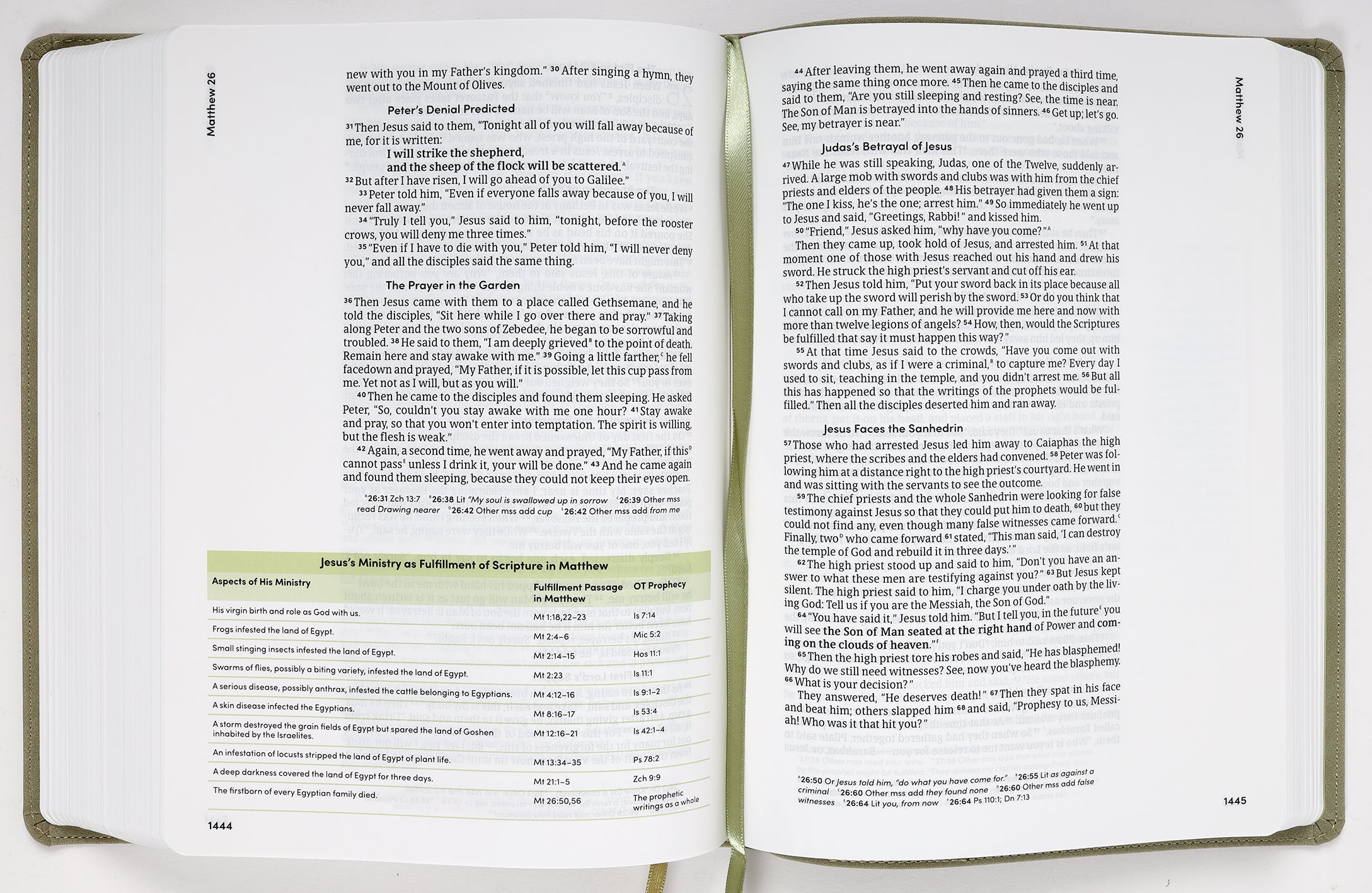 CSB Lifeway Women's Bible Sage (Black Letter Edition)