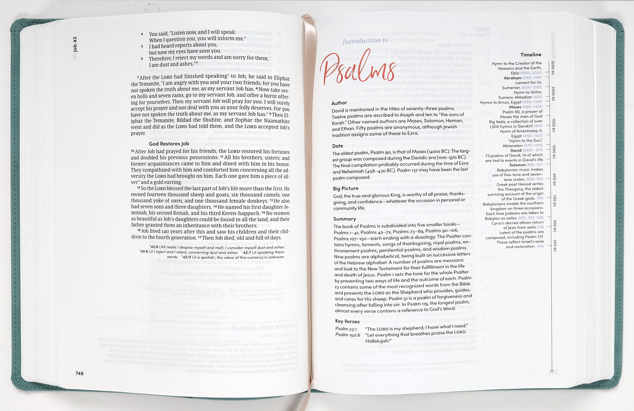CSB Lifeway Women's Bible Slate (Black Letter Edition)