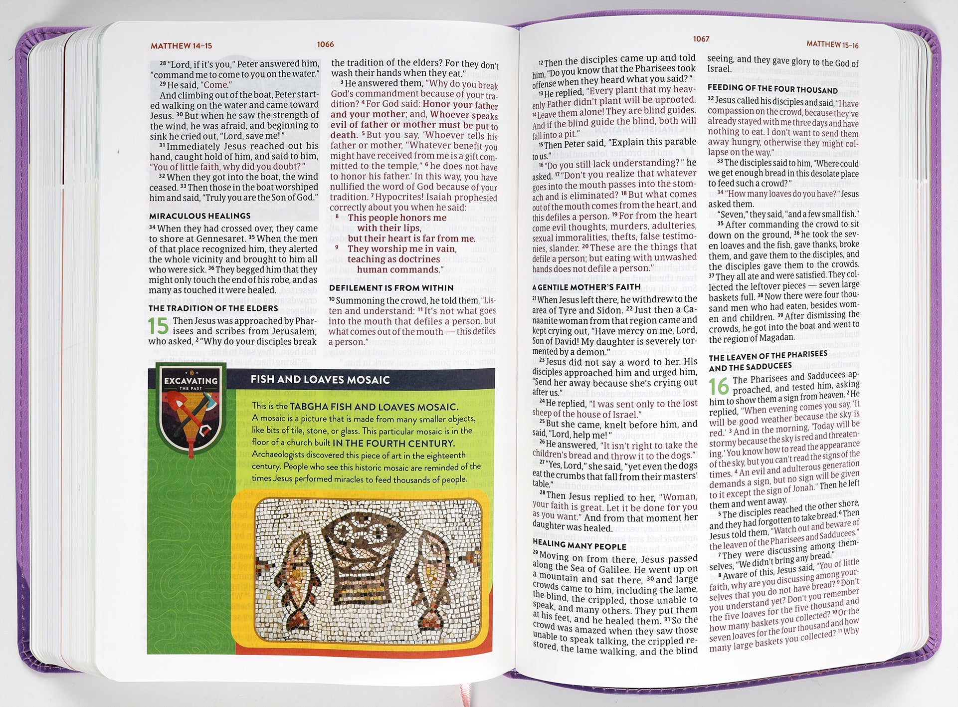CSB Explorer Bible For Kids Lavender Compass