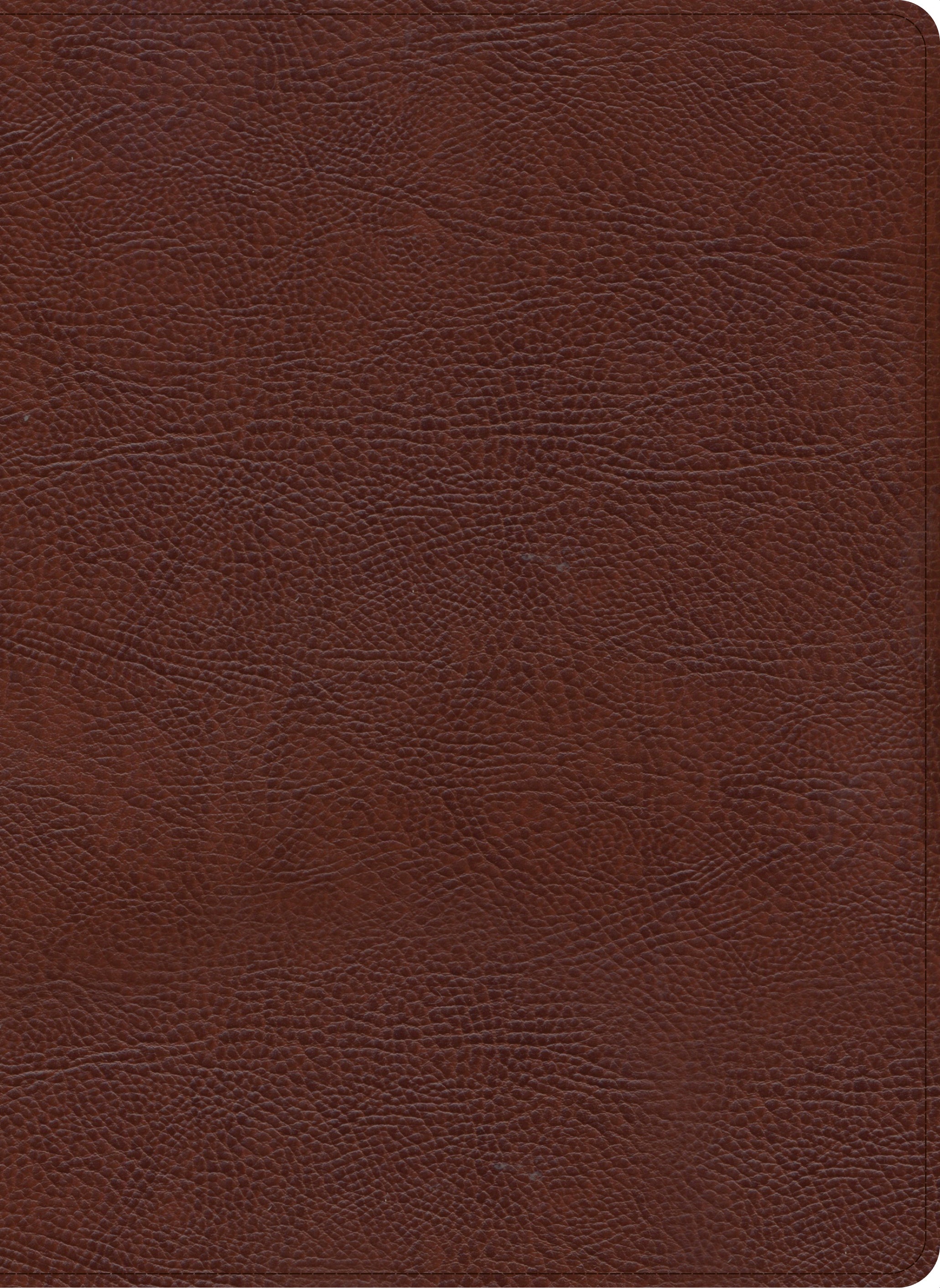 CSB Pastor's Bible Verse-By-Verse Edition Brown (Black Letter Edition)