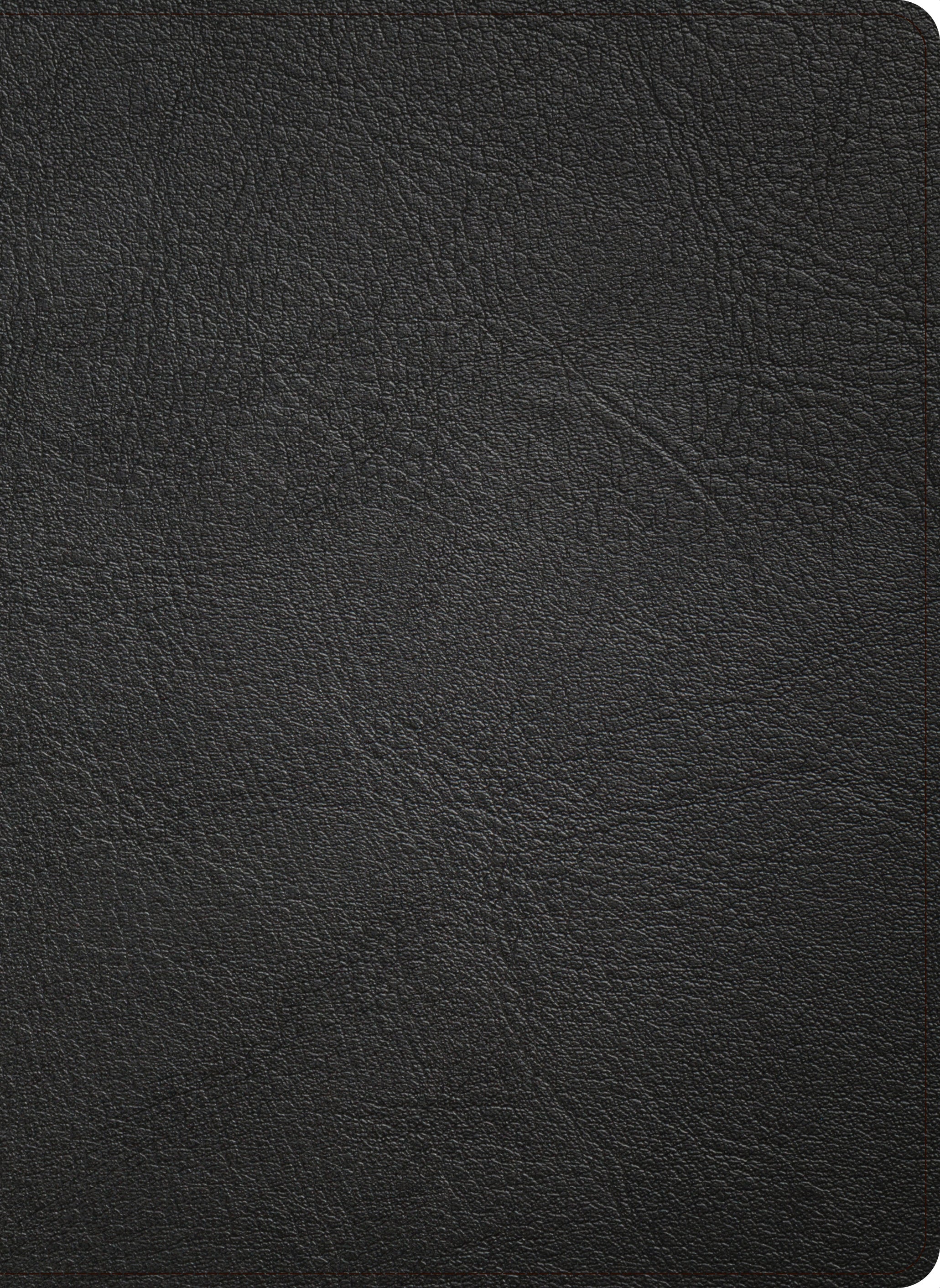 CSB Pastor's Bible Verse-By-Verse Edition Holman Handcrafted Collection Black Premium Goatskin (Black Letter Edition)