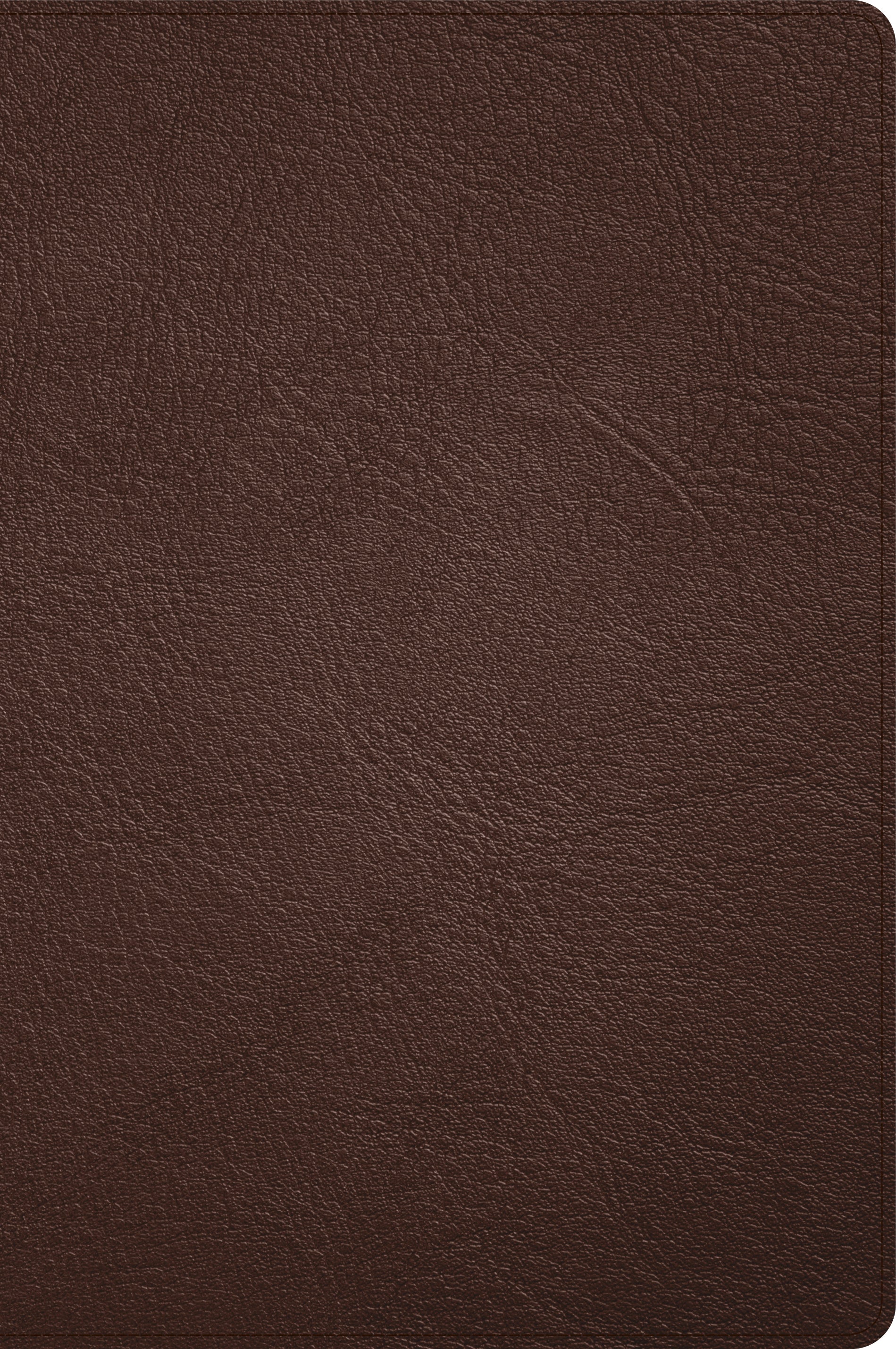 CSB Large Print Thinline Bible Holman Handcrafted Collection Brown Premium Goatskin (Red Letter Edition)