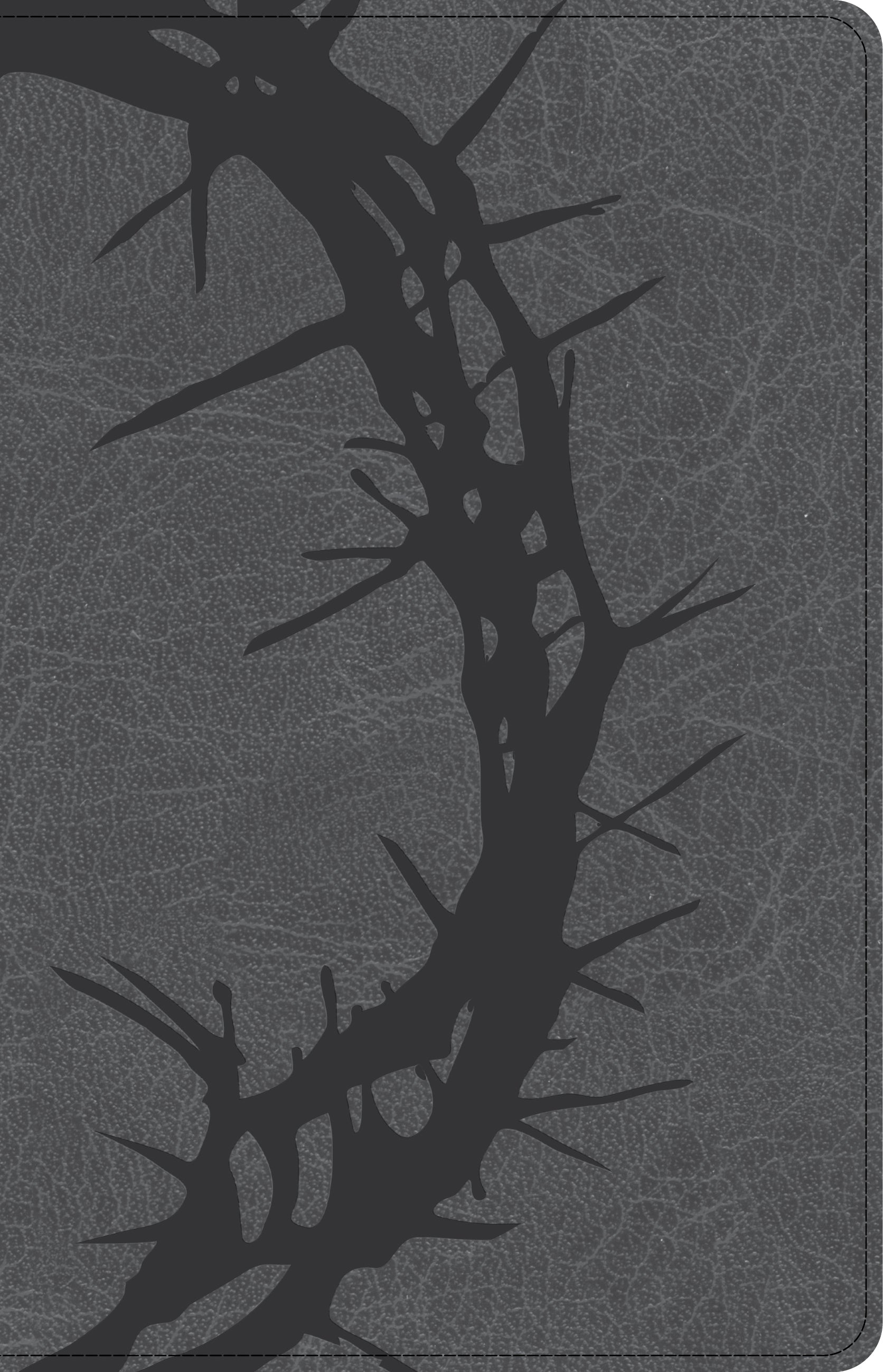 CSB Large Print Personal Size Reference Bible Charcoal (Red Letter Edition)