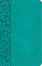 CSB Large Print Personal Size Reference Bible Teal Indexed (Red Letter Edition)