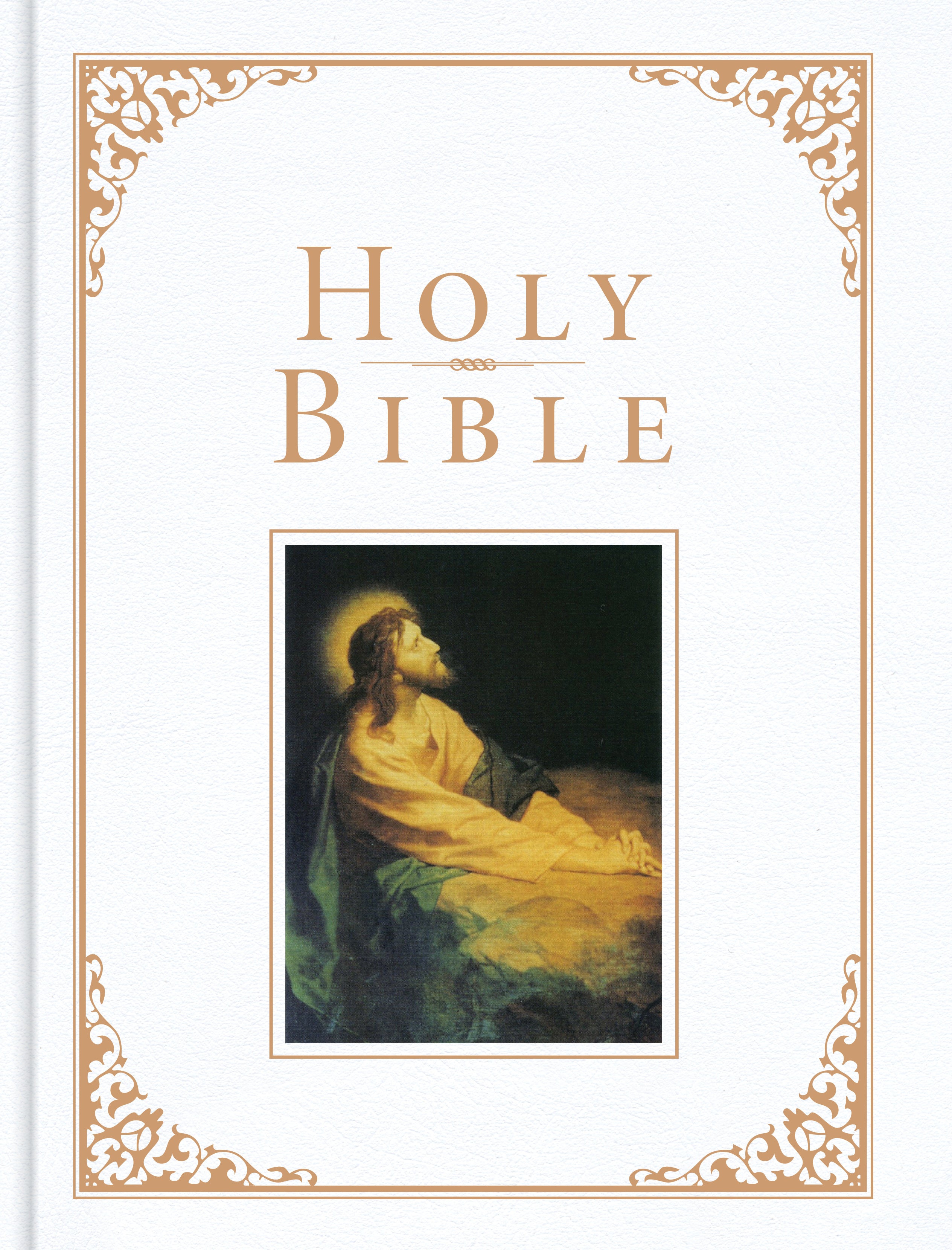 KJV Family Bible Deluxe White (Red Letter Edition)