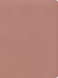 CSB Study Bible Rose Gold