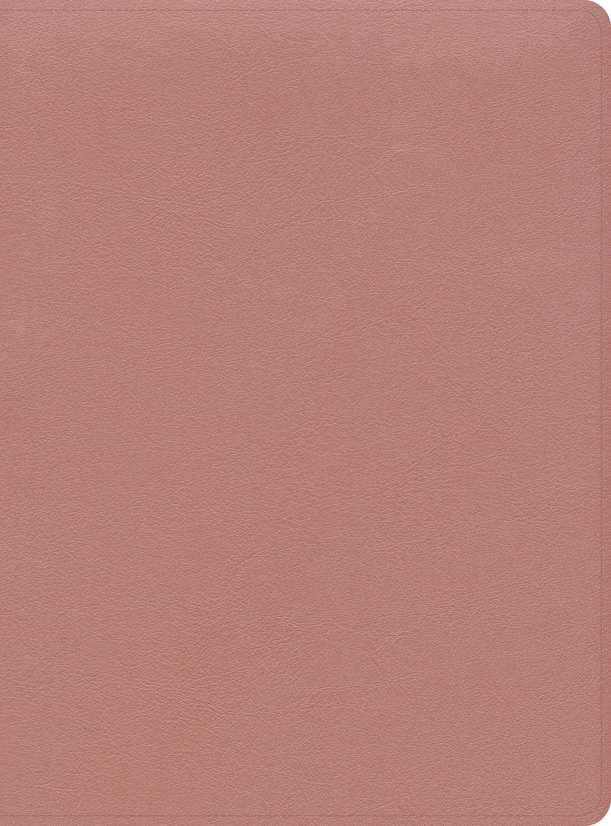 CSB Study Bible Rose Gold Indexed