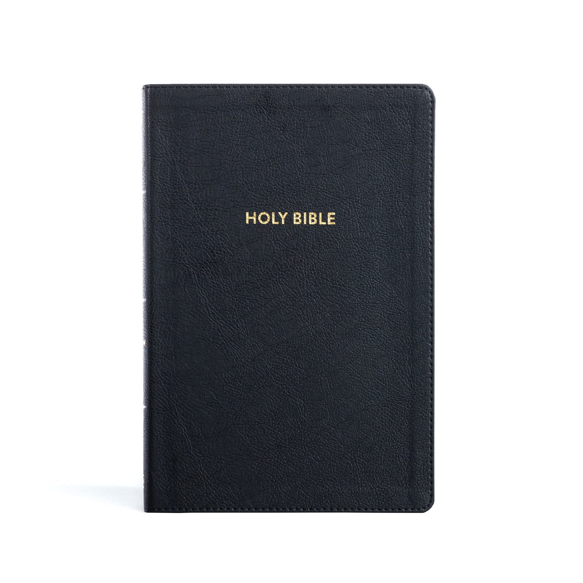 KJV Rainbow Study Bible Black