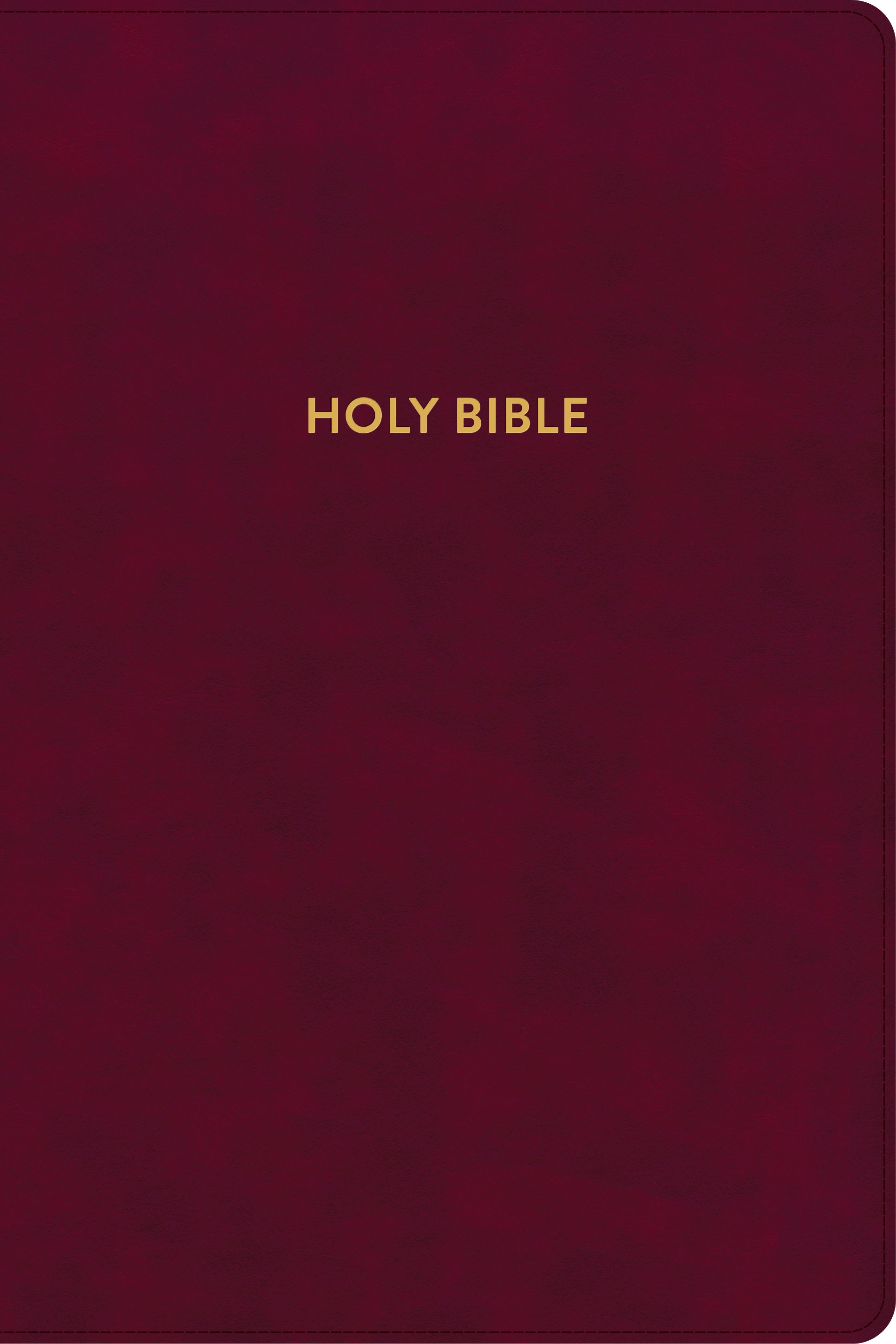 KJV Rainbow Study Bible Burgundy