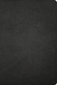 KJV Large Print Thinline Bible Black (Red Letter Edition)