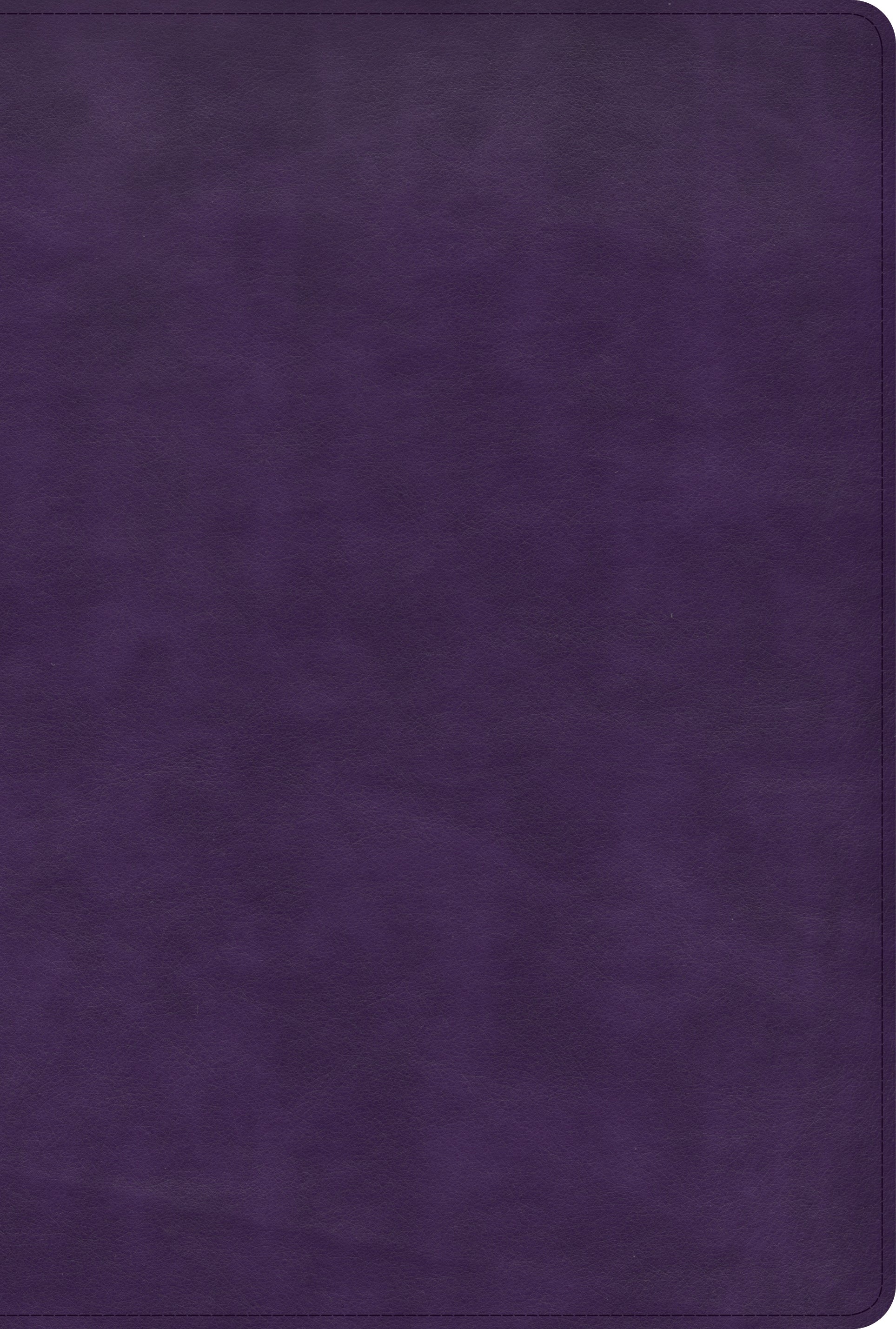 KJV Large Print Thinline Bible Plum (Red Letter Edition)