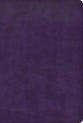 KJV Large Print Thinline Bible Plum (Red Letter Edition)