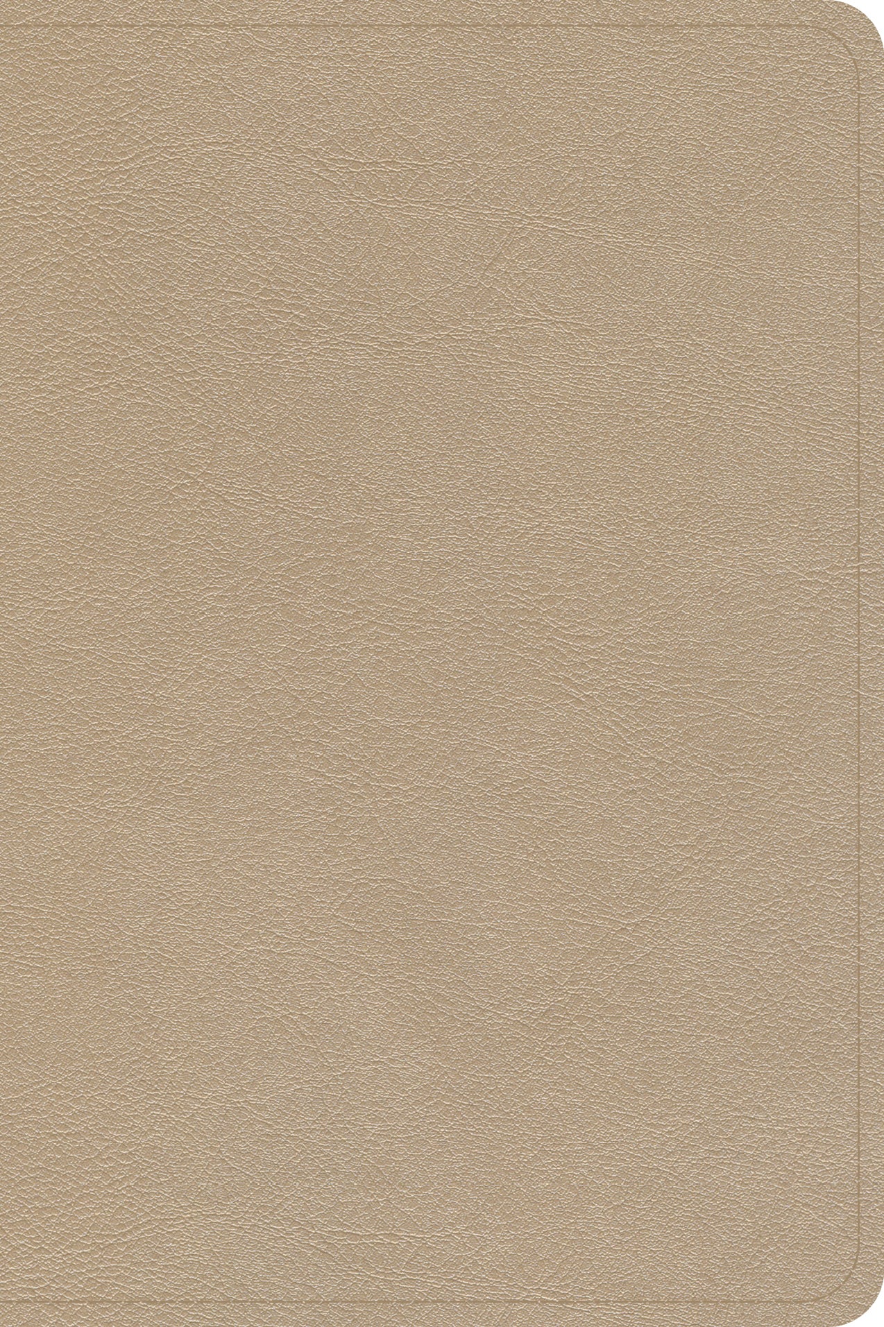 CSB Large Print Compact Reference Bible Gold (Red Letter Edition)