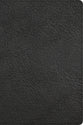 CSB Giant Print Reference Bible Black (Red Letter Edition)