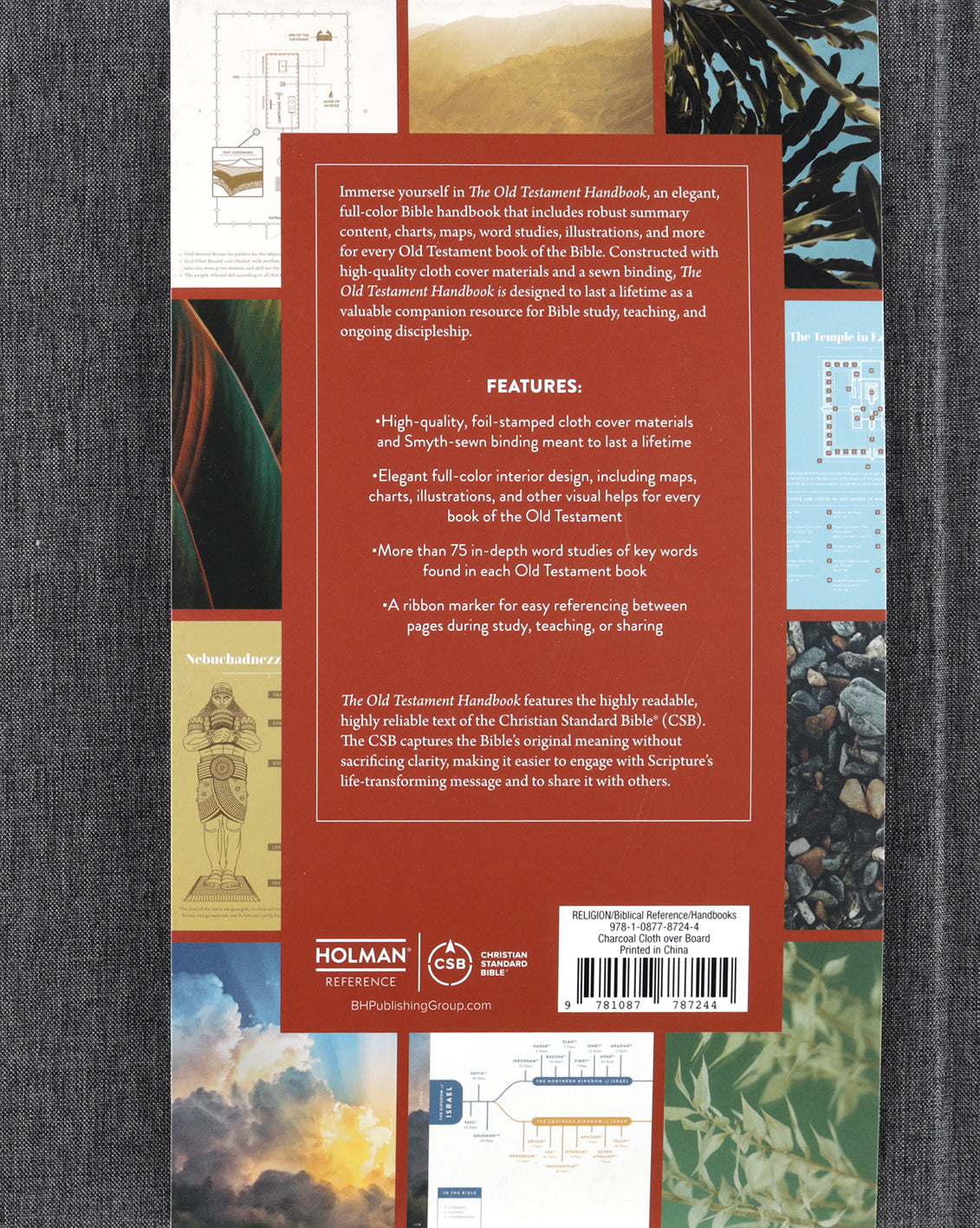 The Old Testament Handbook: A Visual Guide Through the Old Testament (Charcoal)