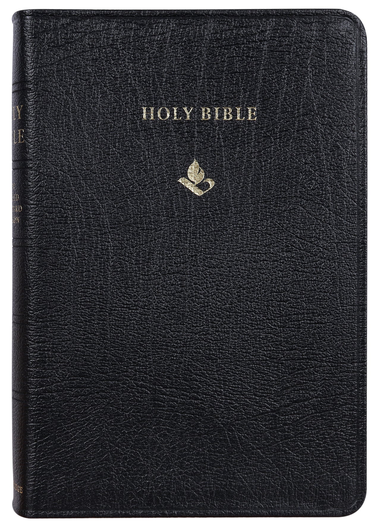 NRSV Popular Text Anglicised Edition Black