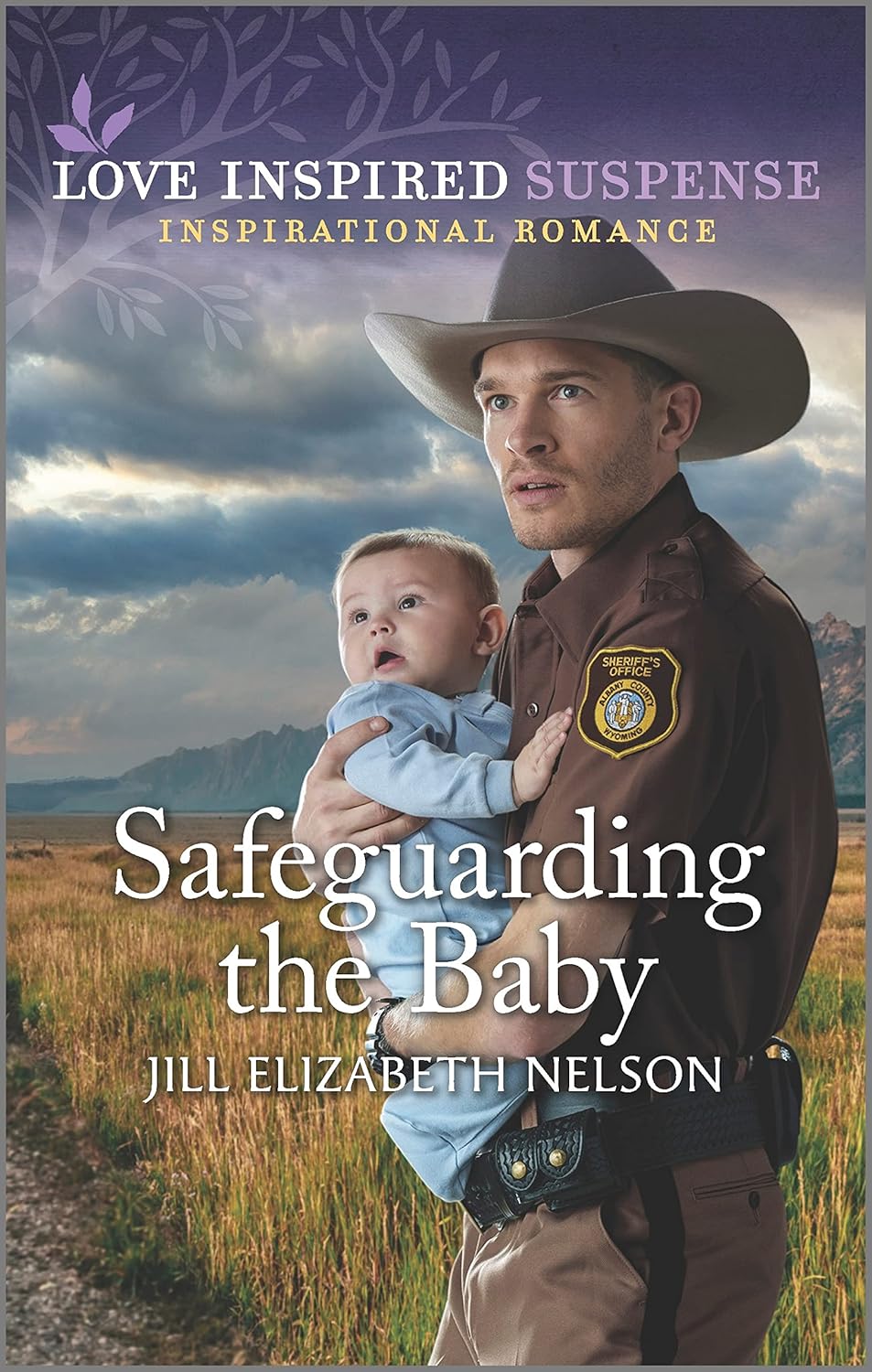 Safeguarding the Baby (Love Inspired Suspense Series)