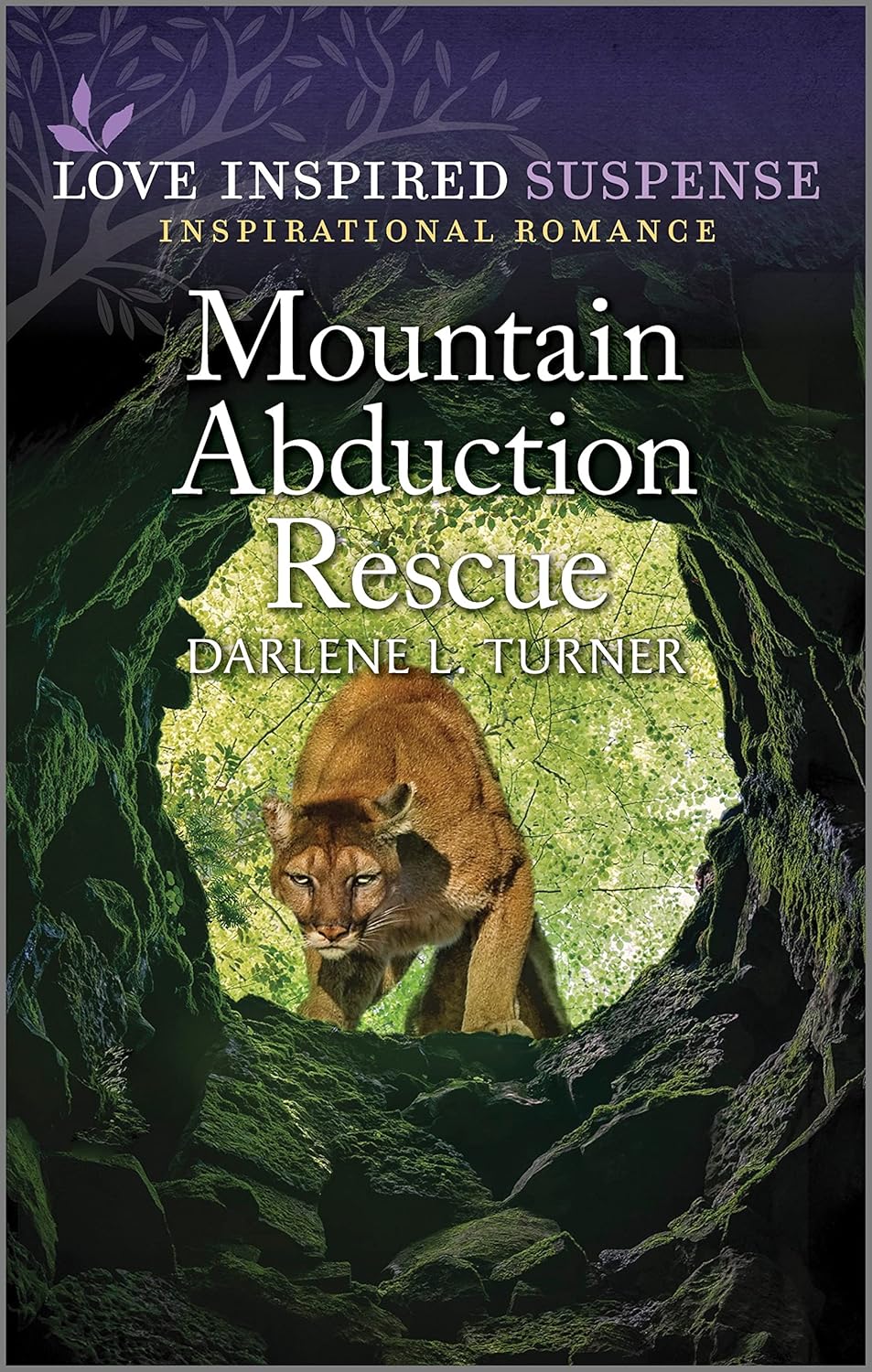 Mountain Abduction Rescue (Crisis Rescue Team) (Love Inspired Suspense Series)