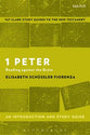 1 Peter An Introduction and Study Guide (T&t Clark Study Guides Series)