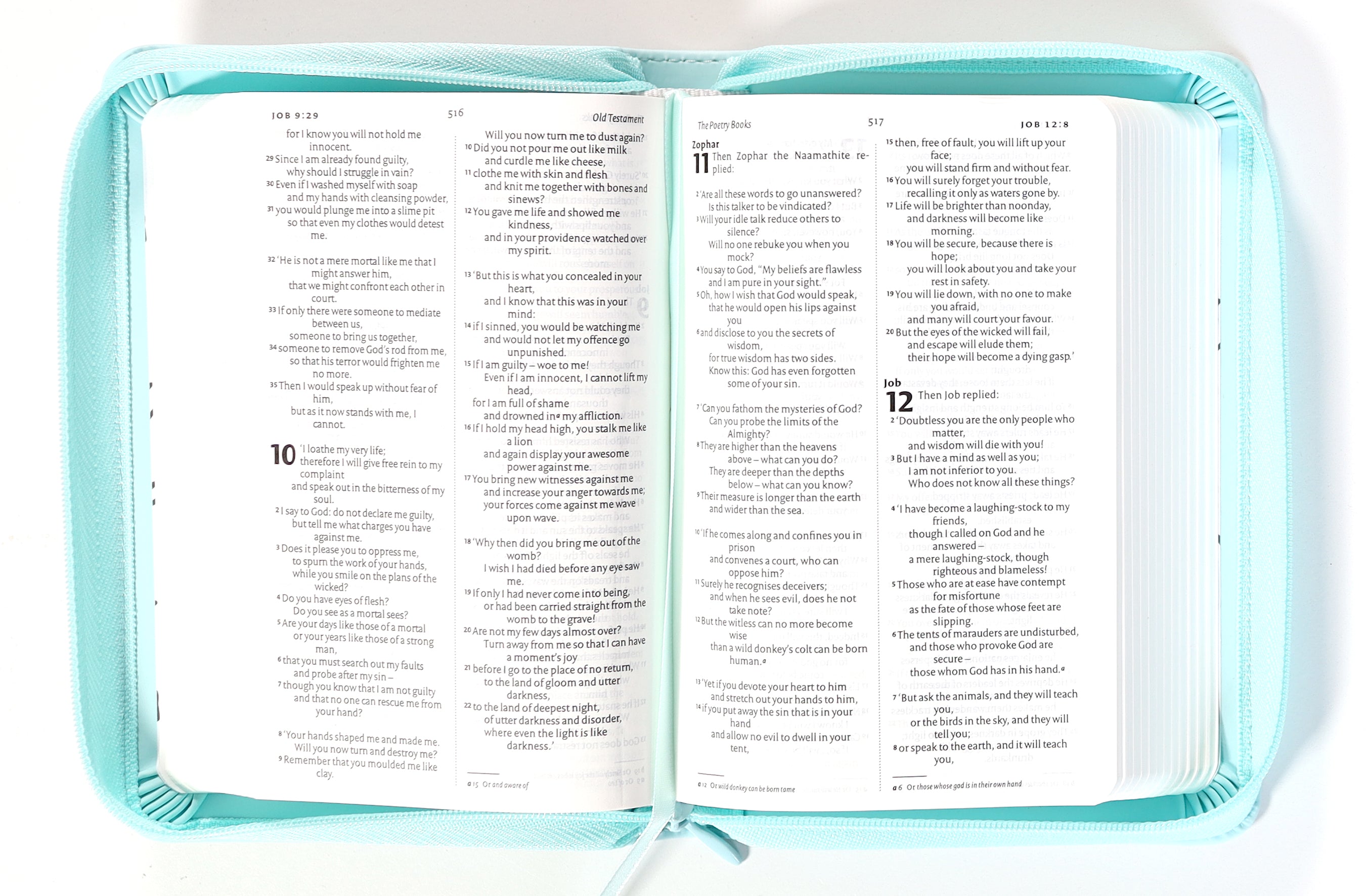 NIV Pocket Bible Mint Soft-Tone With Zip British Edition