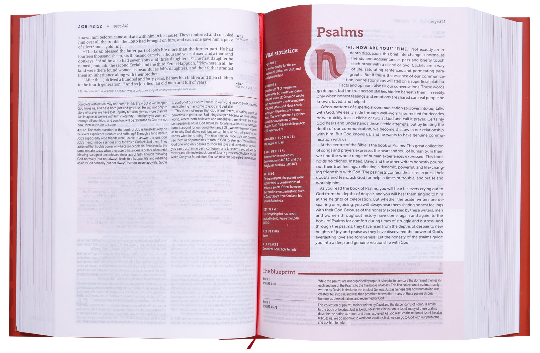 NIV Life Application Study Bible Anglicised (Third Edition)