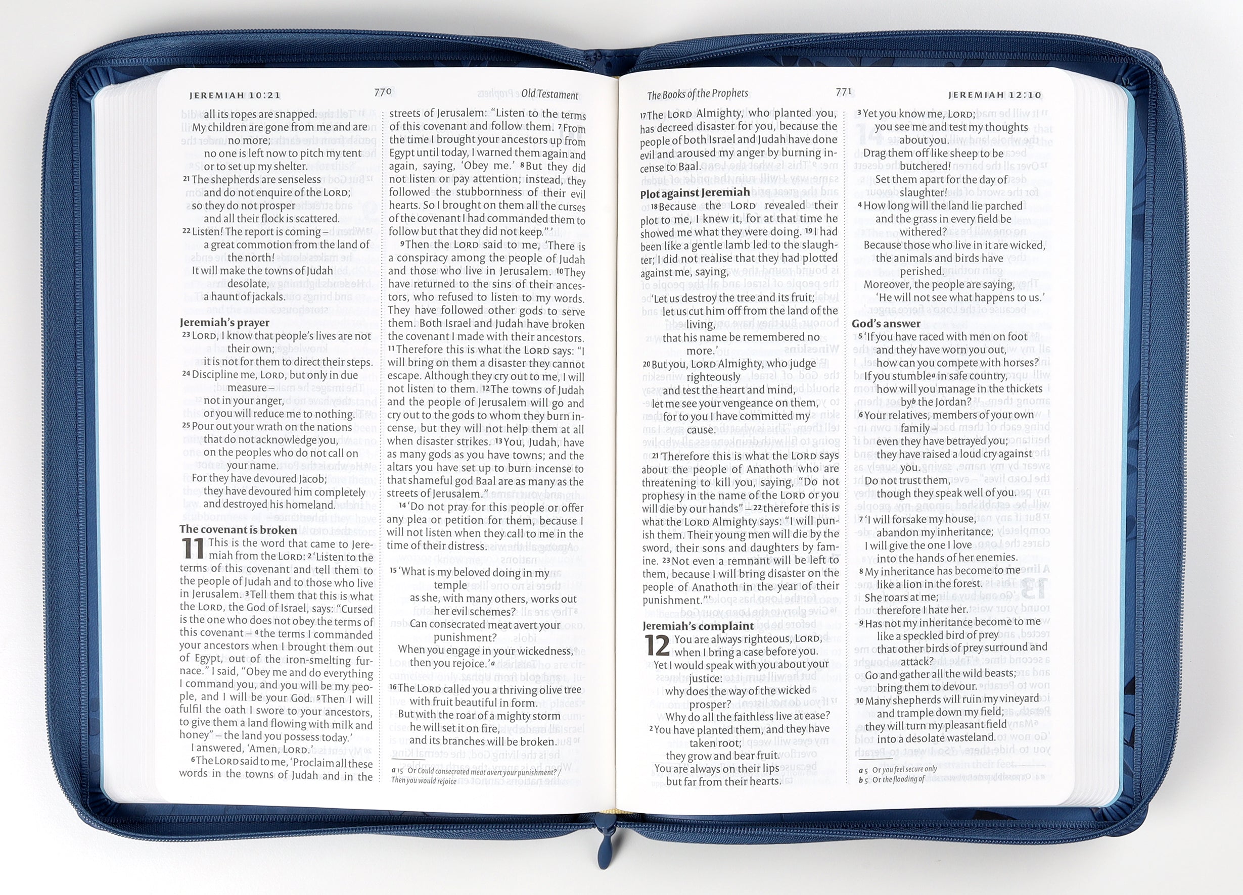 NIV Larger Print Denim Bible With Zip (British Version)