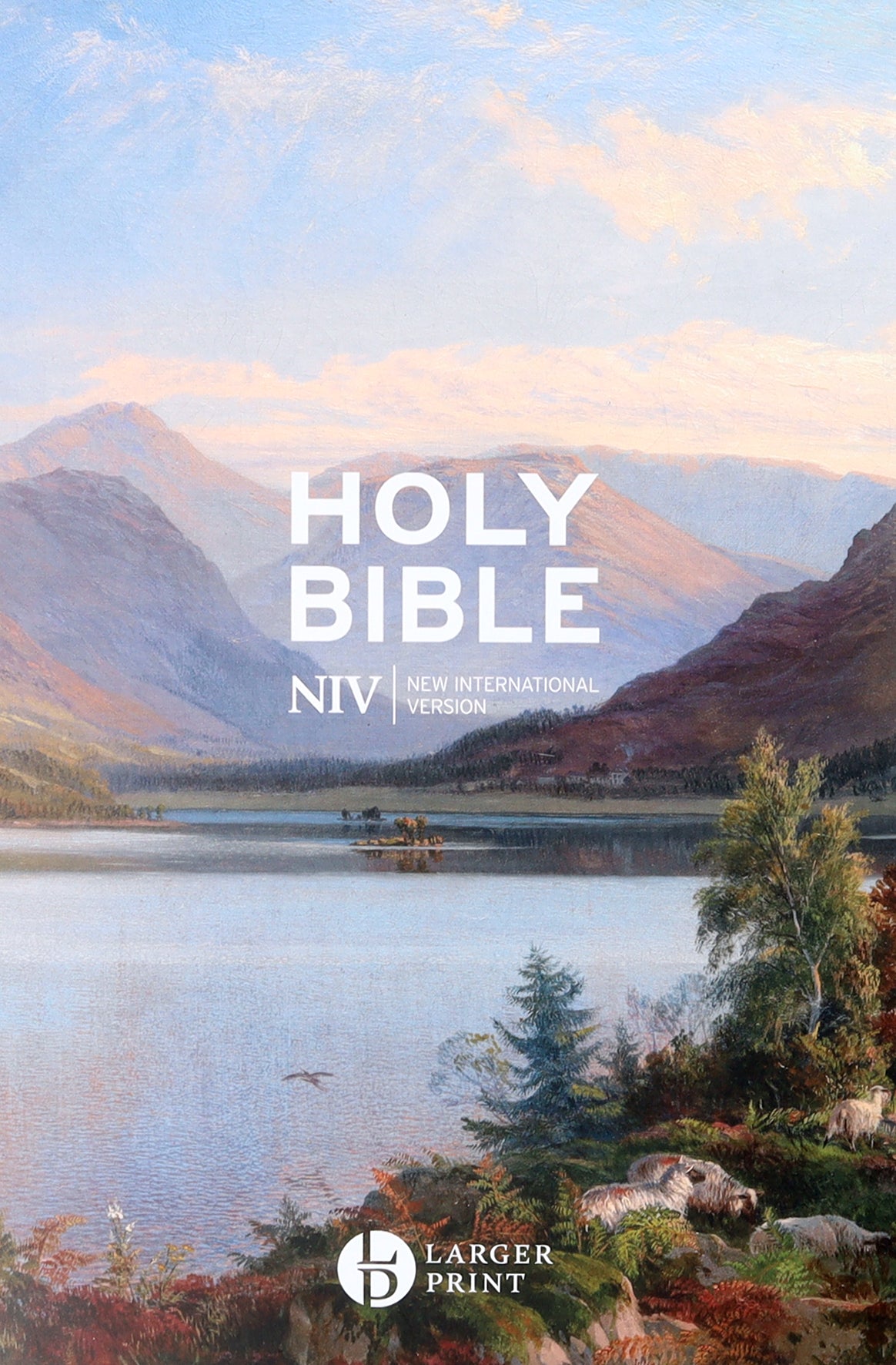 NIV Larger Print Gift Bible (British Version)