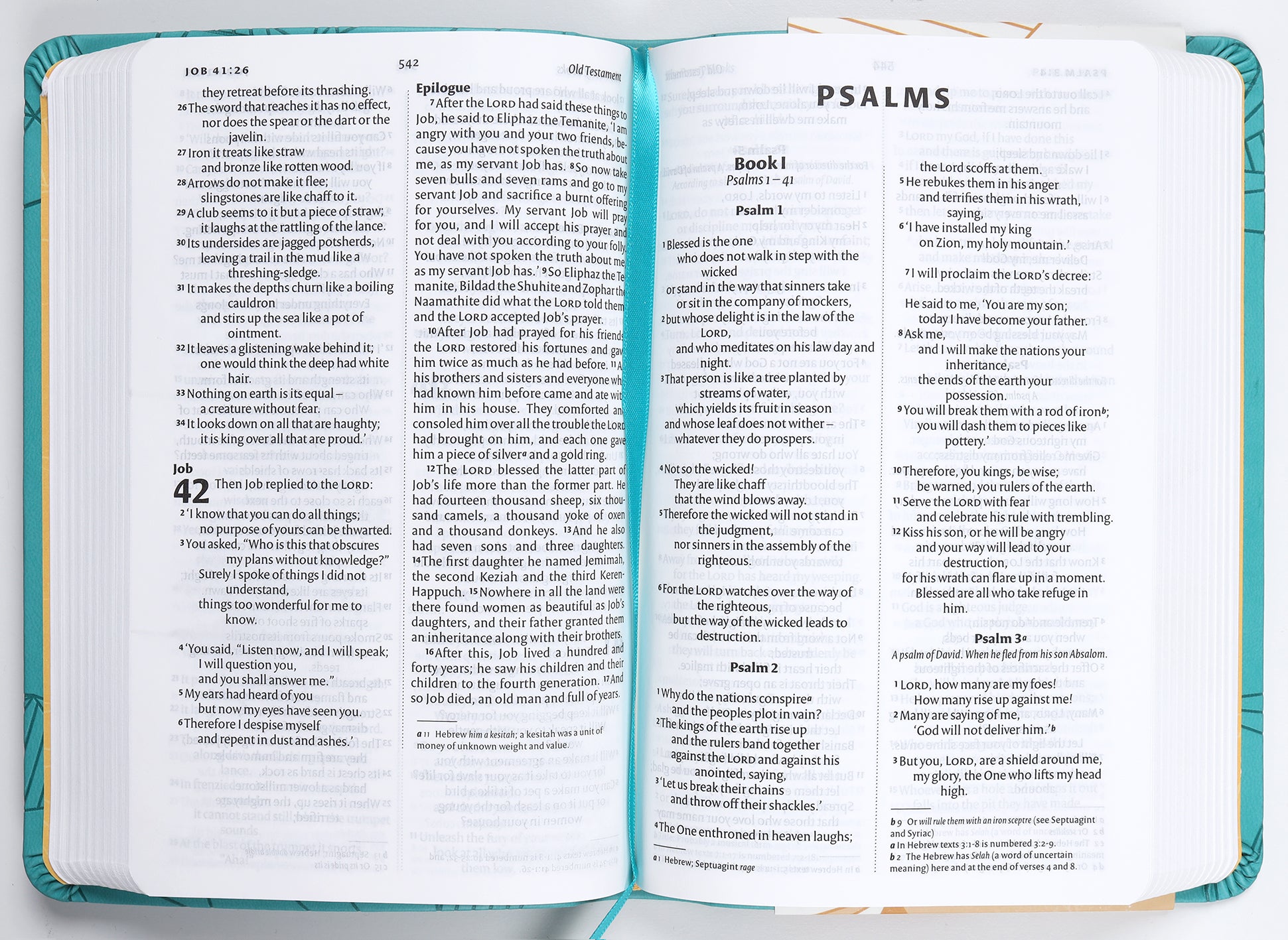 NIV Larger Print Personal Bible Gift Edition Teal (British Spelling)