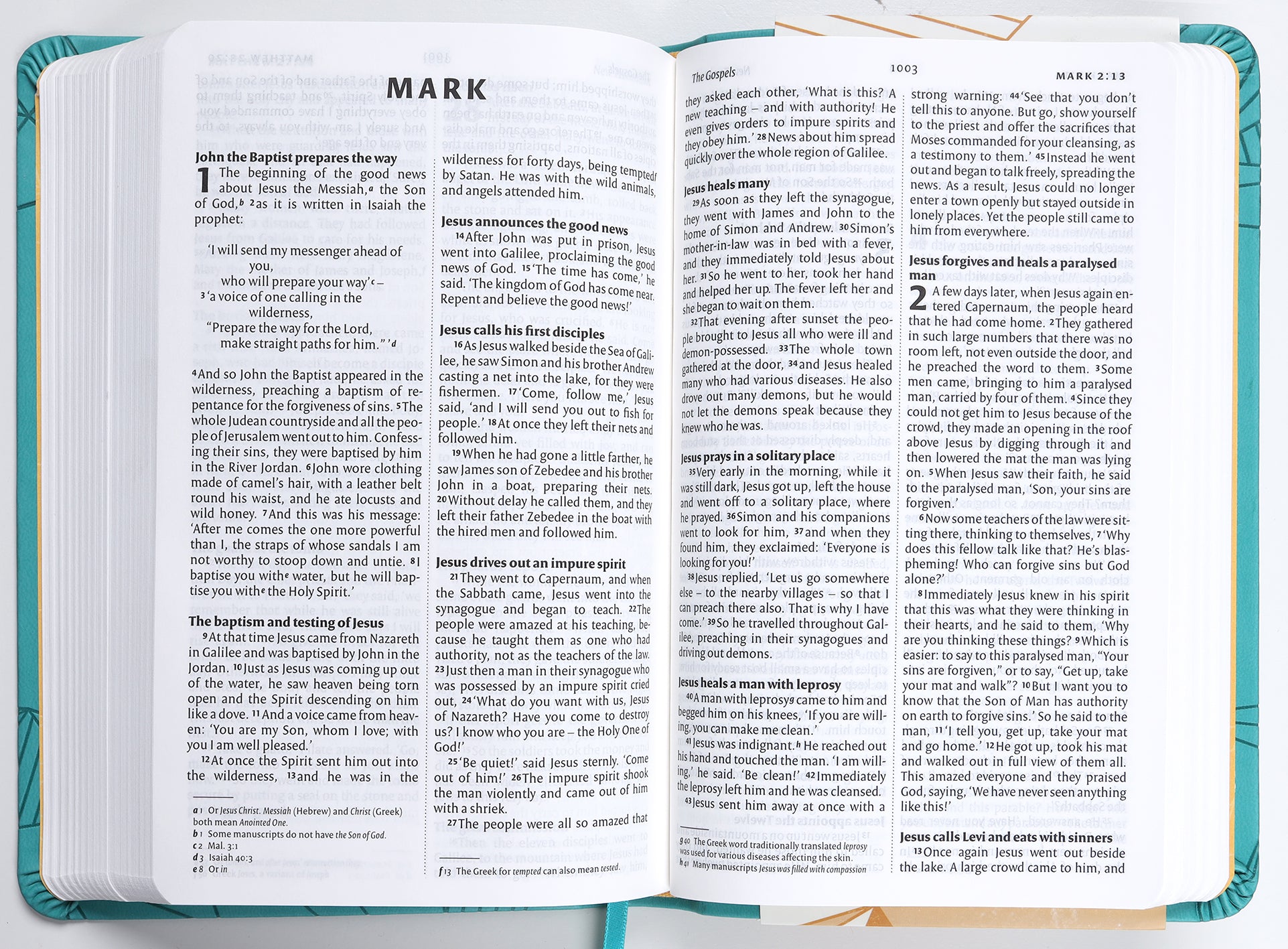 NIV Larger Print Personal Bible Gift Edition Teal (British Spelling)