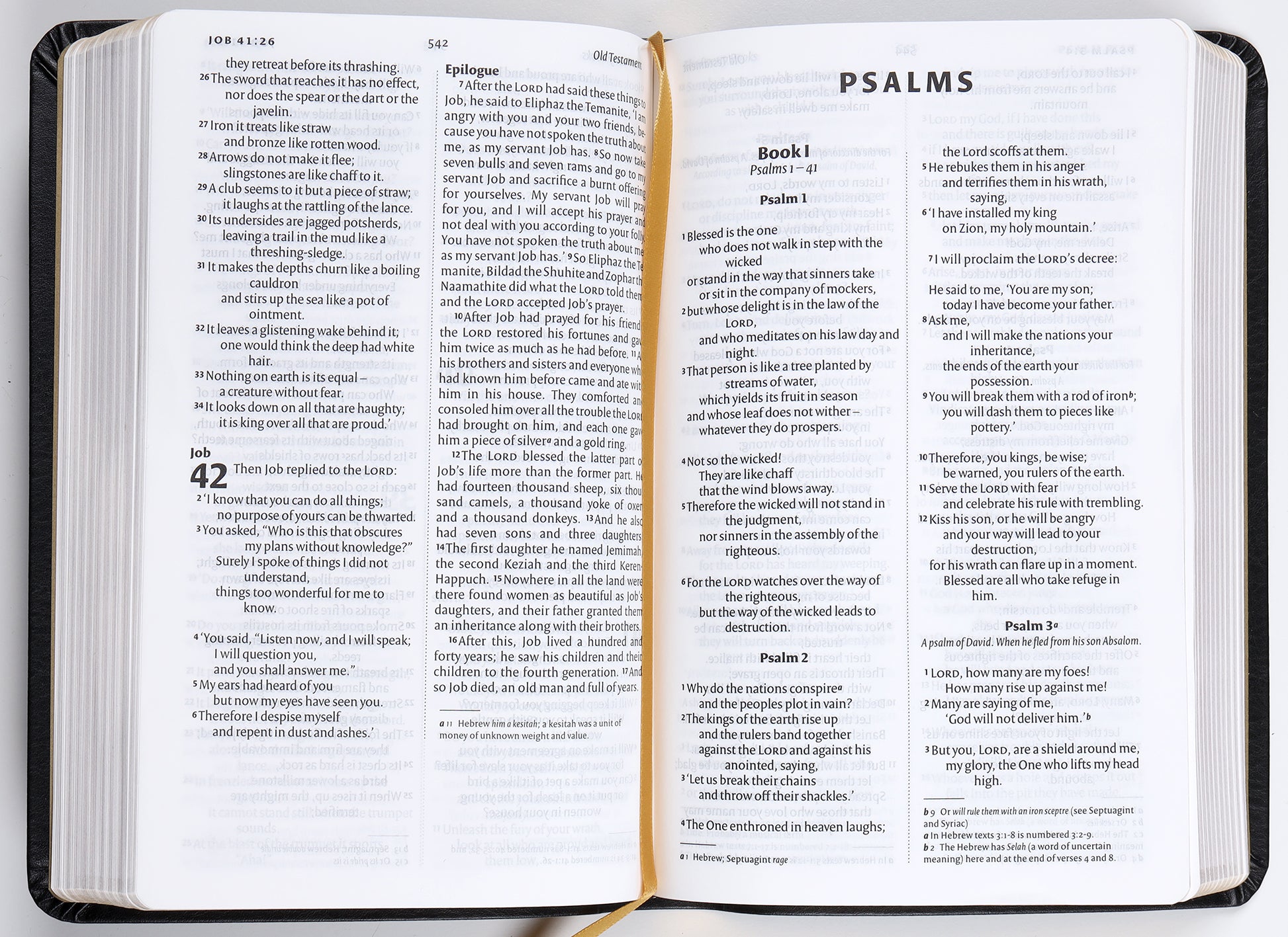 NIV Larger Print Personal Bible Black (British Spelling)