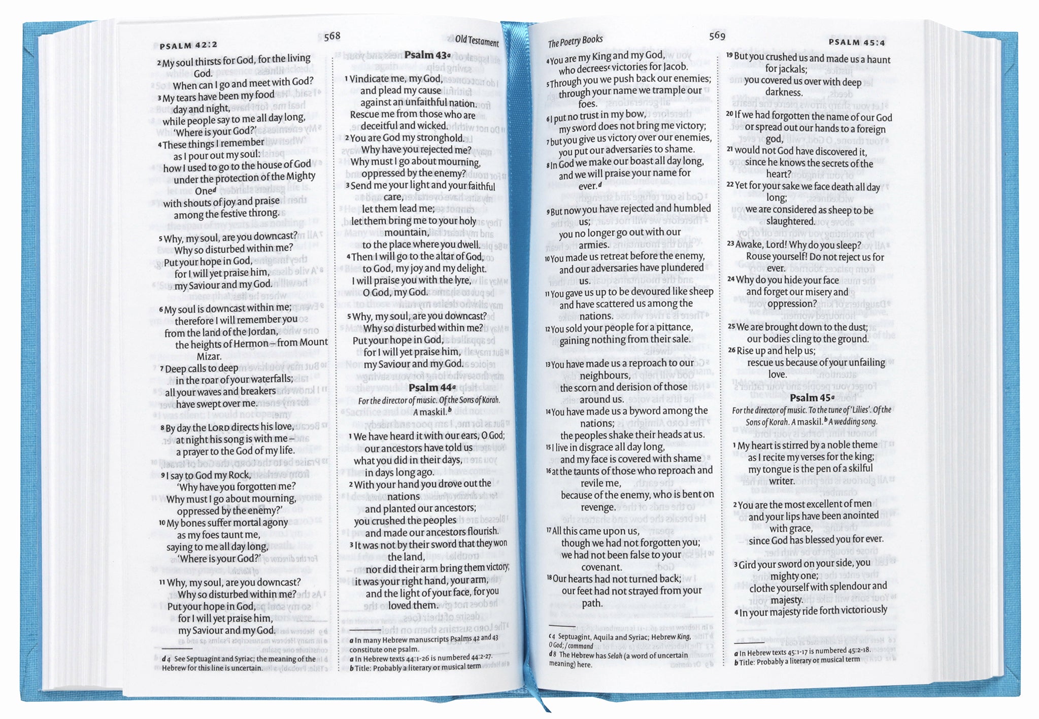 NIV Pocket Classic Bible, Seascape Blue (Anglicised Version)